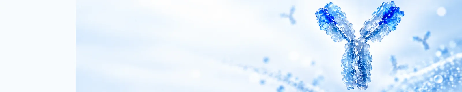 Absea custom antibody service illustration